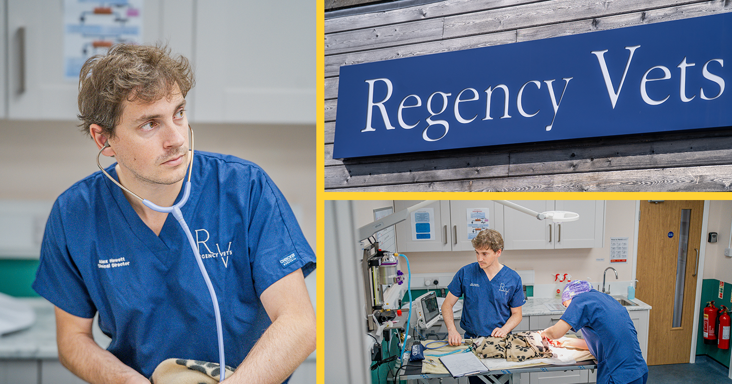 'Being independent means we can tailor everything to each pet's needs' — Meet the owners of Cheltenham's new veterinary clinic