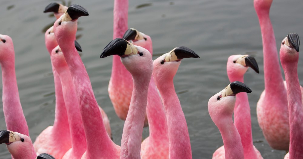 New community bus route launches for top Gloucestershire attraction