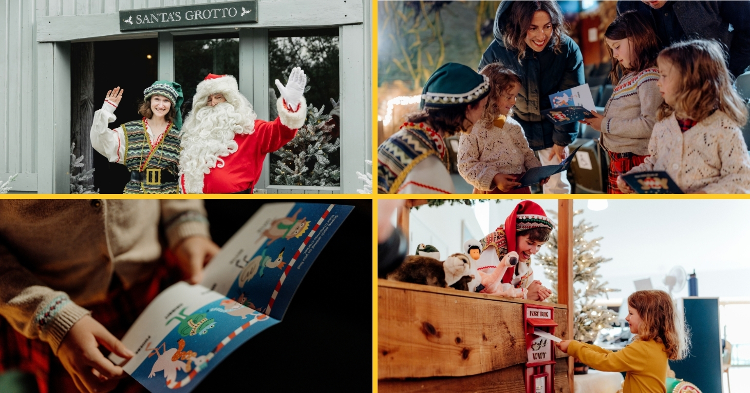 Slimbridge is transformed into a Wetland Wonderland this Christmas