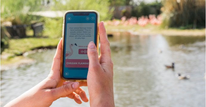 Slimbridge Wetland Centre launches Wetland Heroes app