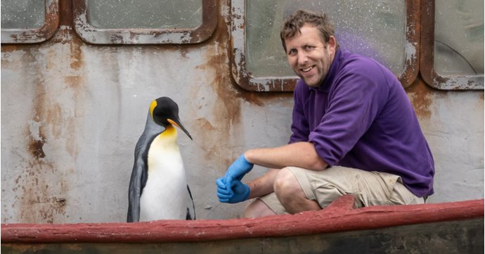 Gloucestershire penguin is crowned the world's most popular flightless bird