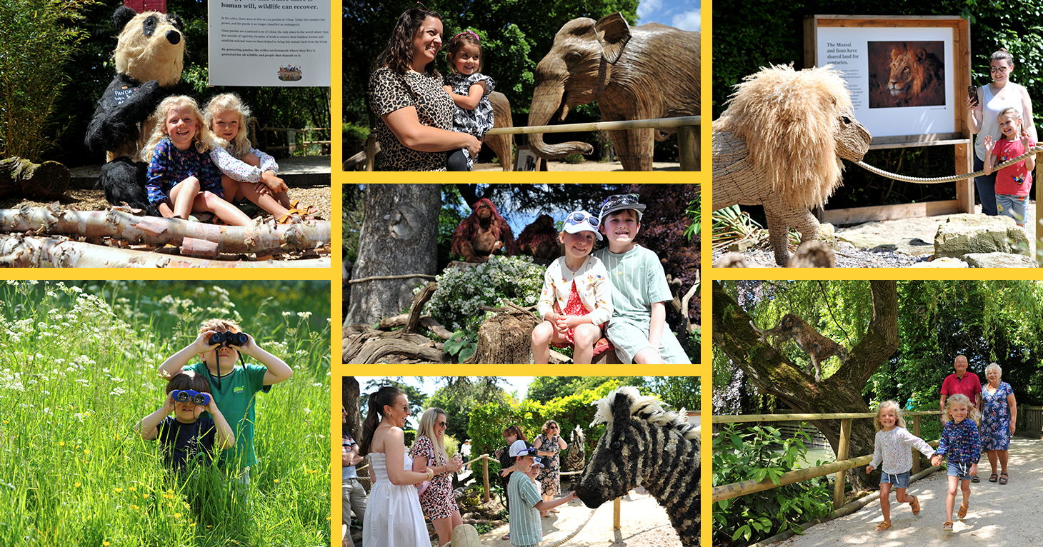 Sudeley Castle launches an exciting new animal attraction