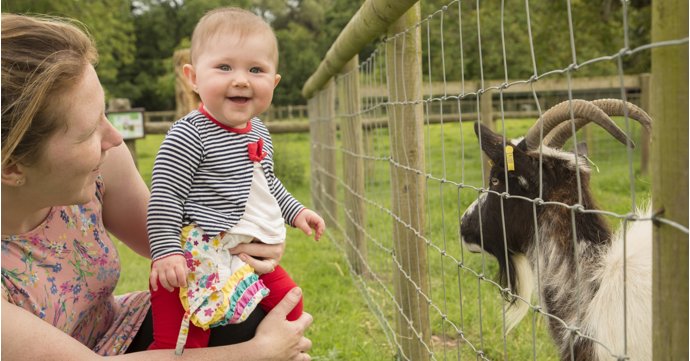 12 toddler-friendly days out in Gloucestershire