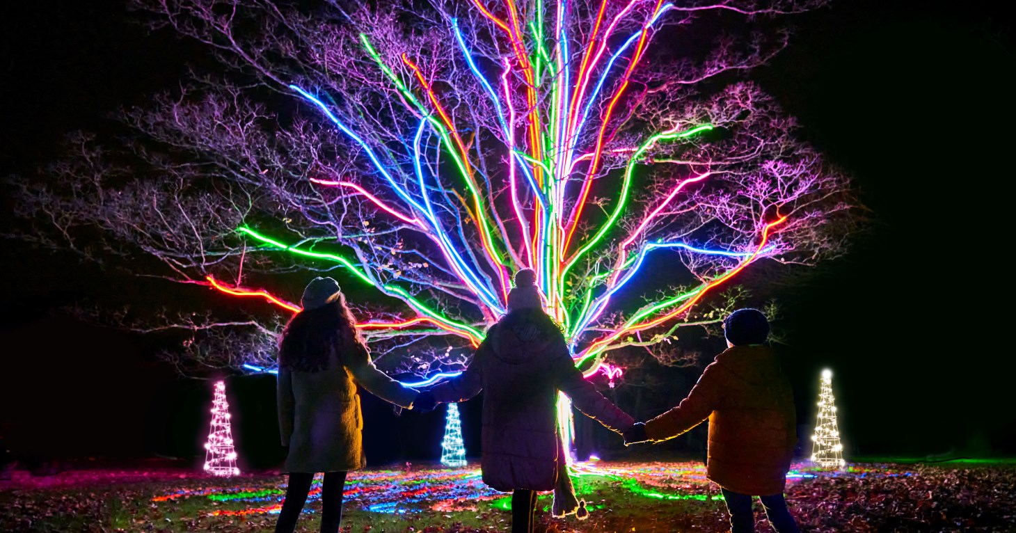 Neon Tree, Sony Music light installation