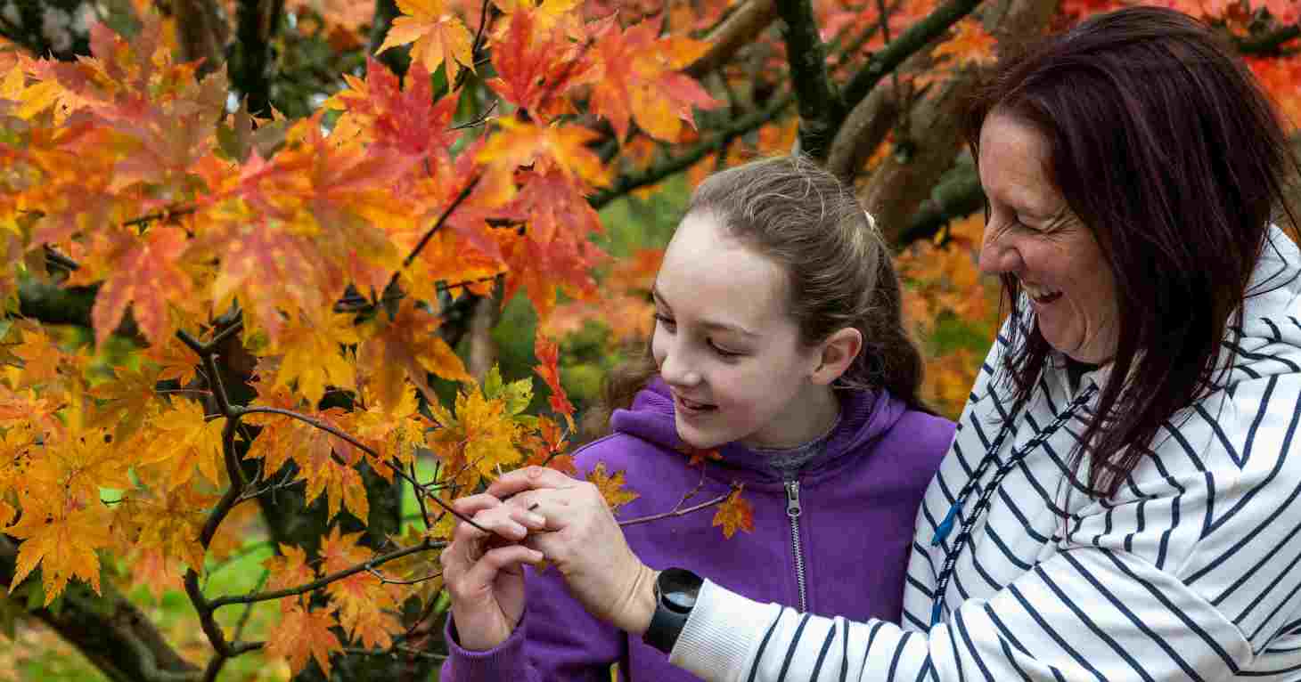 Explore and create nature-inspired art this autumn with new botanical exhibition and drawing trail at Westonbirt Arboretum