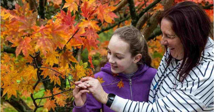 Drawn to Nature Trail and Bedgebury Florilegium Society Exhibition at Westonbirt Arboretum