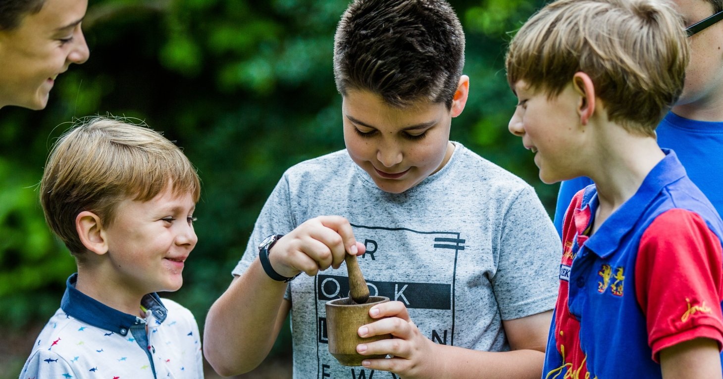 Westonbirt Arboretum launches summer activities programme encouraging families to 'roam free'