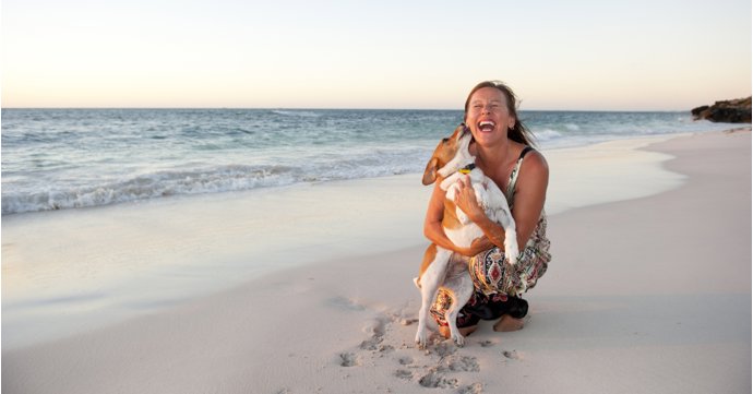 Top travel tips for taking your dog on holiday