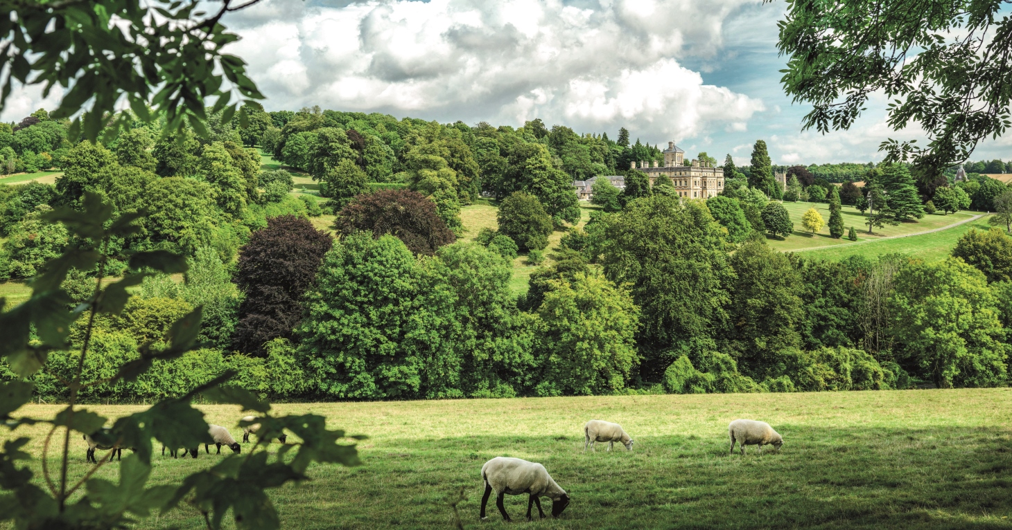 Whole of College Open Morning at Rendcomb College