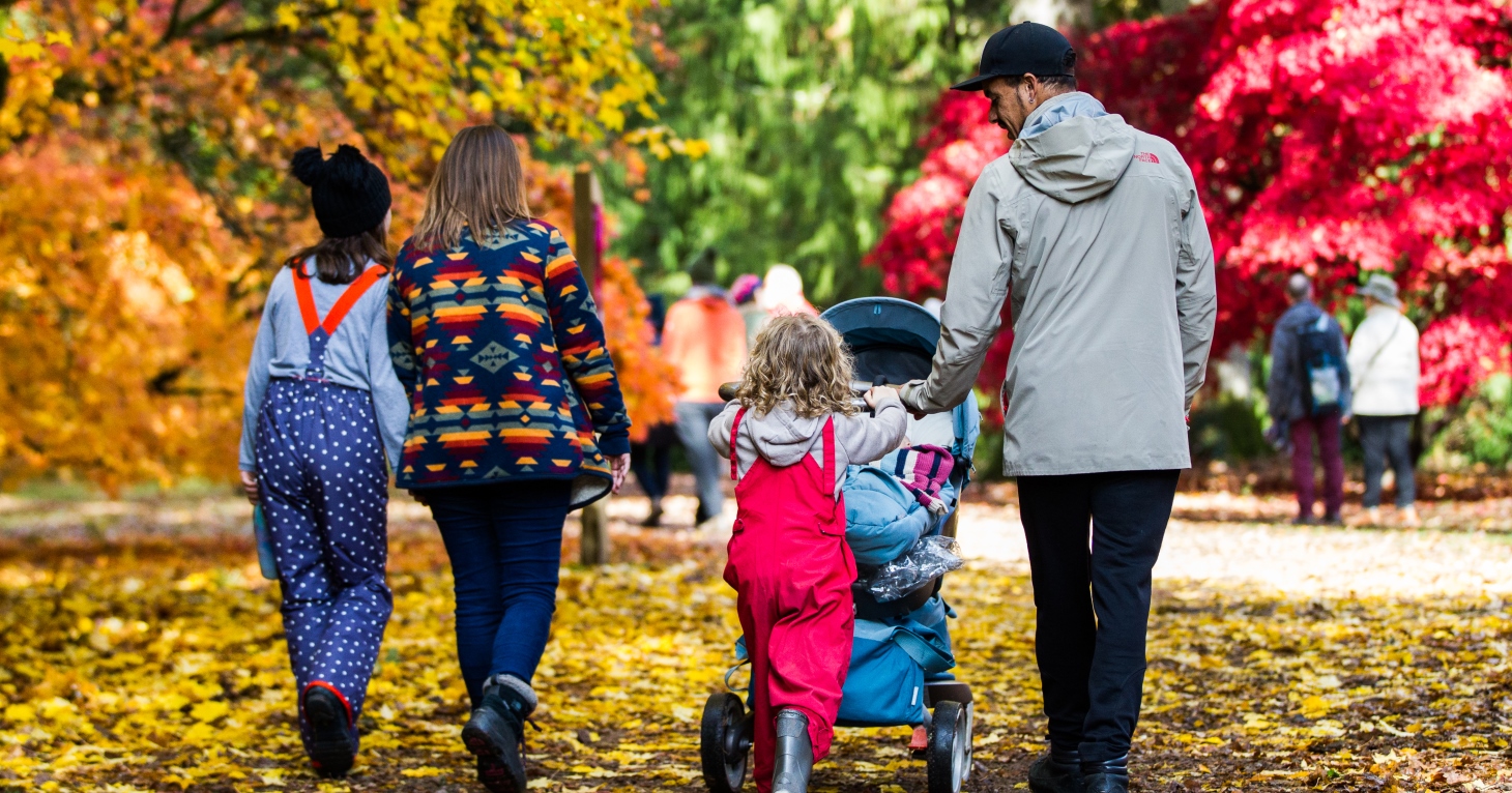 Autumn at Westonbirt Arboretum