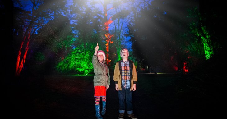 Westonbirt Arboretum is lighting up for the festive season with the return of Enchanted Christmas this November and December 2022.  Johnny Hathaway