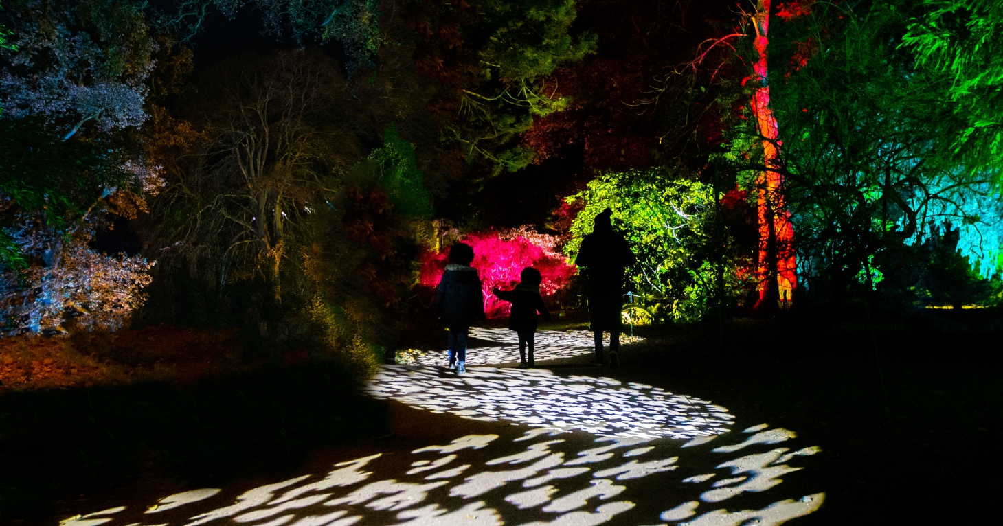 SoGlos has teamed up with Westonbirt Arboretum to give away a family ticket for two adults and two children to experience Enchanted Christmas on its opening weekend.  Johnny Hathaway