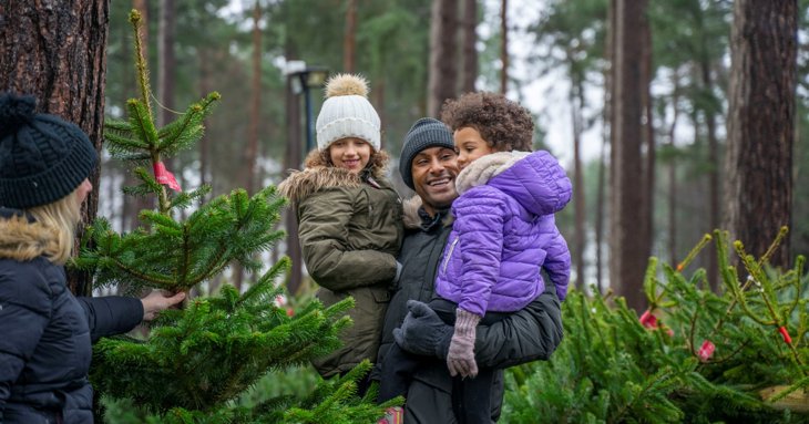 The lucky winner will also get to choose their own real Christmas tree from Westonbirt, up to the price of 50.