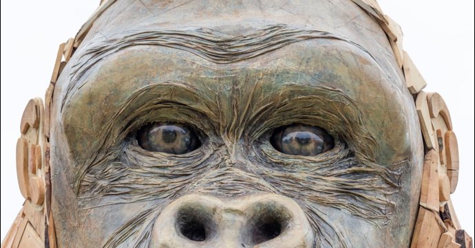 Four-tonne gorilla headlines BIG Summer-Send Off at Bristol Zoo Gardens