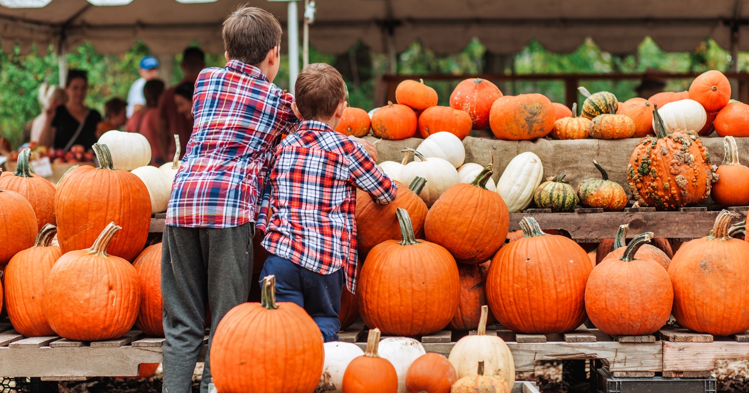 Gloucestershire County Council Fostering hosts pop-up at Forest Showcase Food Festival