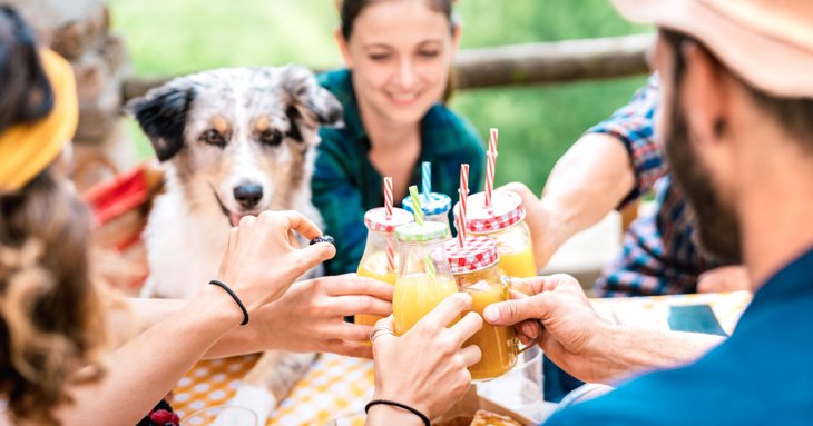 Discover some of the best dog-friendly locations to eat with your canine companion in the Cotswolds.