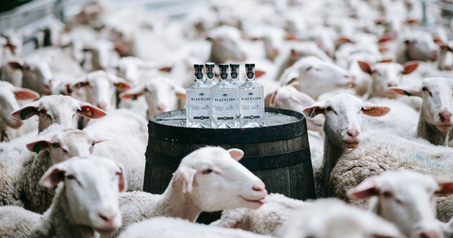 Farmed, fermented and distilled in the Cotswolds – discover the rare sheep's milk vodka shaking up US spirit market