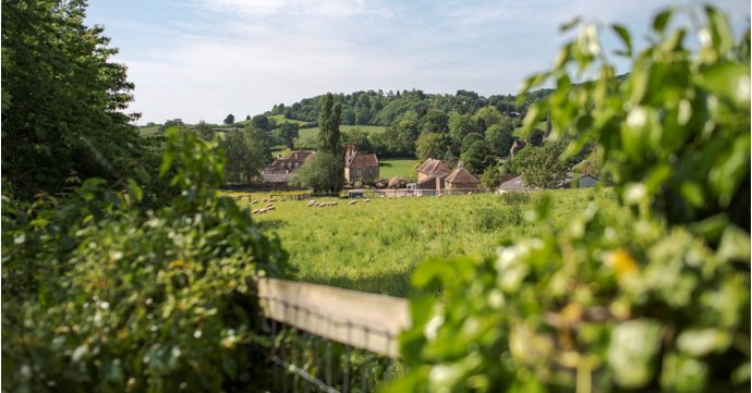 850-year-old Forest of Dean farm to be transformed into a vineyard and winery