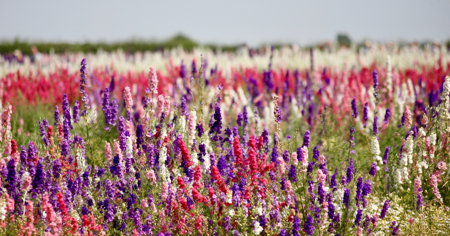 10 best things to do in Gloucestershire in July 2025