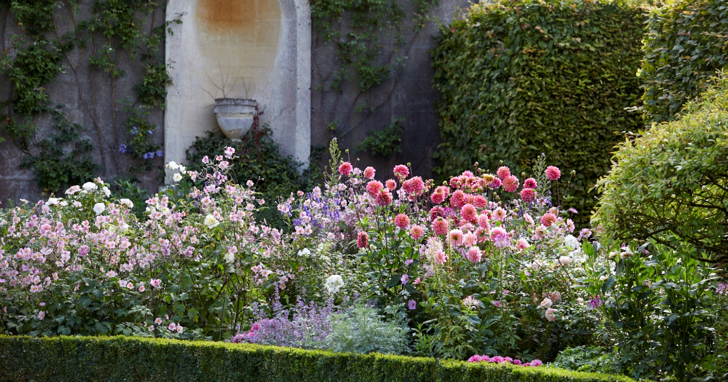 Last chance to visit Badminton Estate's spectacular private gardens in 2026