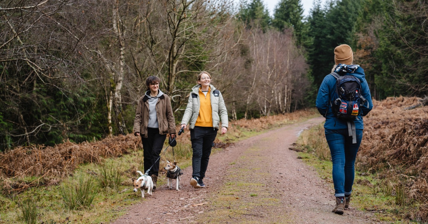 13 best places to walk your dog in Gloucestershire