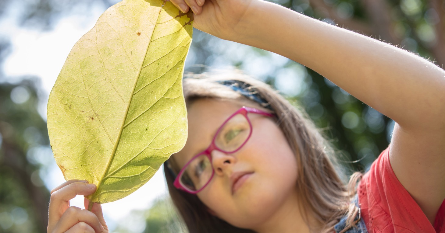 Experience nature through creativity and fun with free family events at Westonbirt Arboretum
