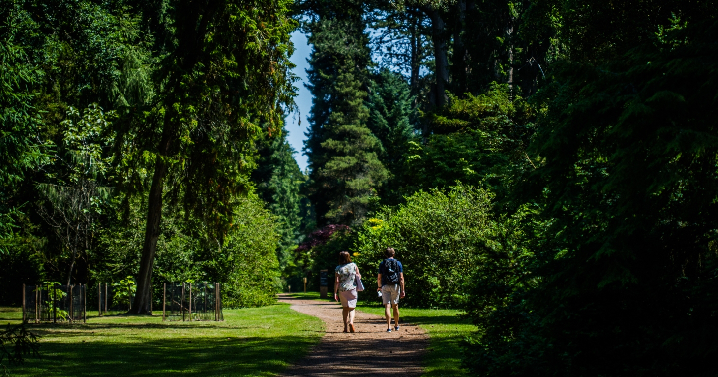Step away from the screens and reconnect with nature on Westonbirt Arboretum's new summer trail