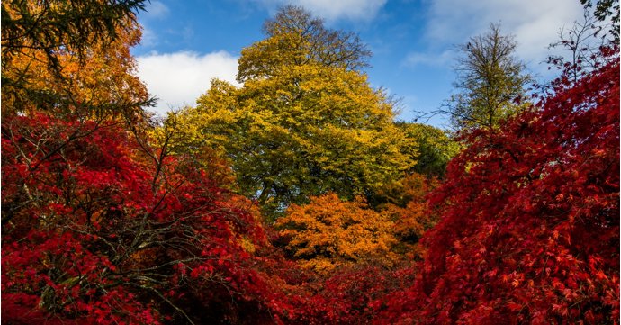 10 spots to see stunning autumn colour in Gloucestershire