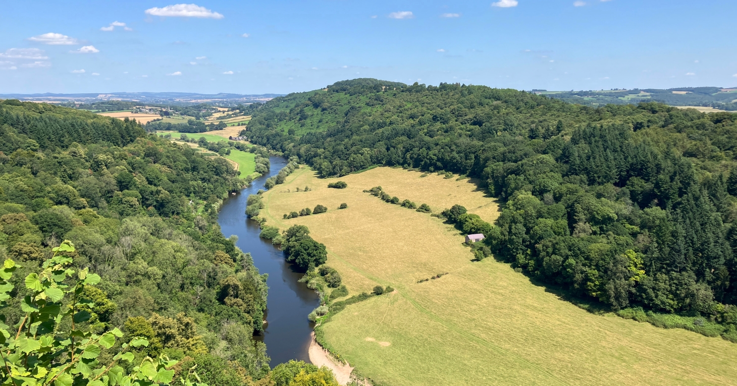 10 ways to enjoy the great outdoors in the Forest of Dean