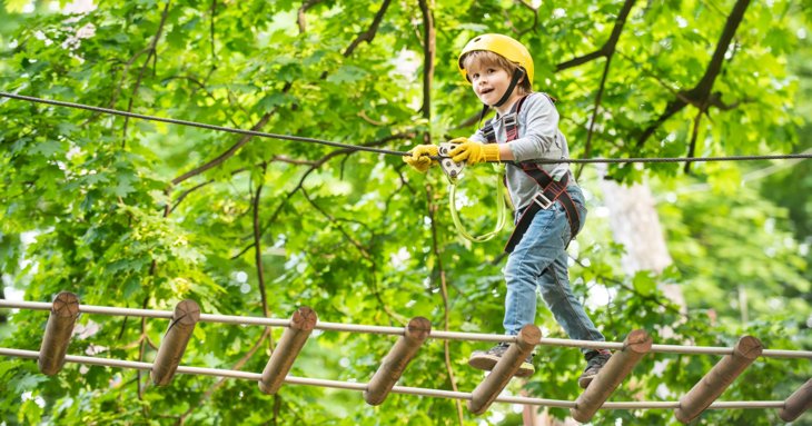Child on a high ropes course in the forest