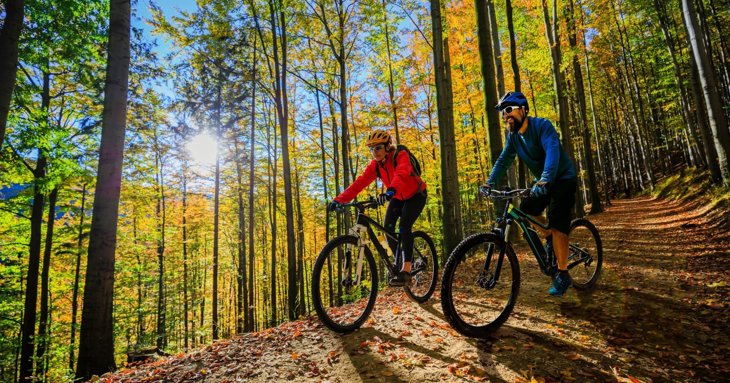 Exploring the Forest of Dean on two wheels is just one of the ways to experience its breath-taking natural beauty this autumn.