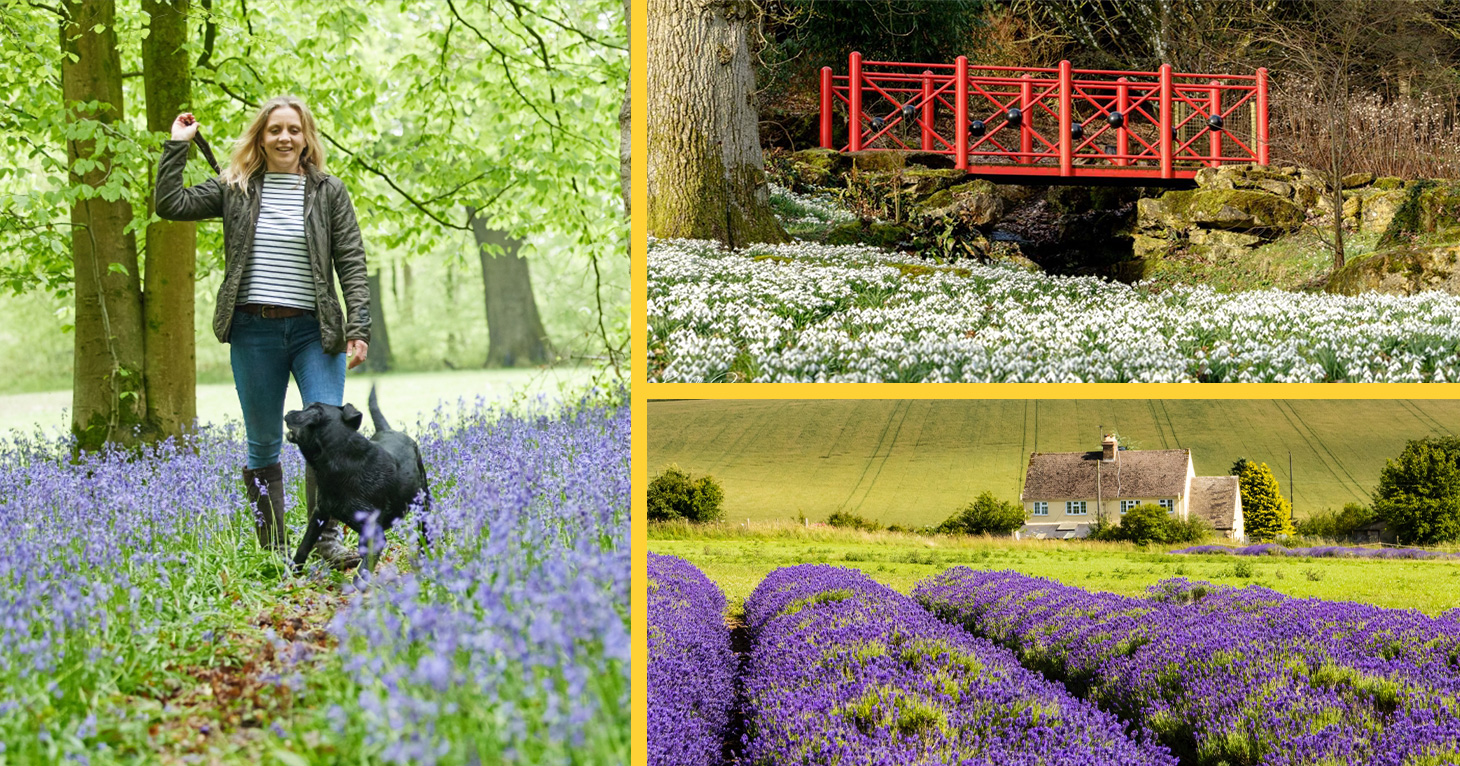 Best flower fields in Gloucestershire series
