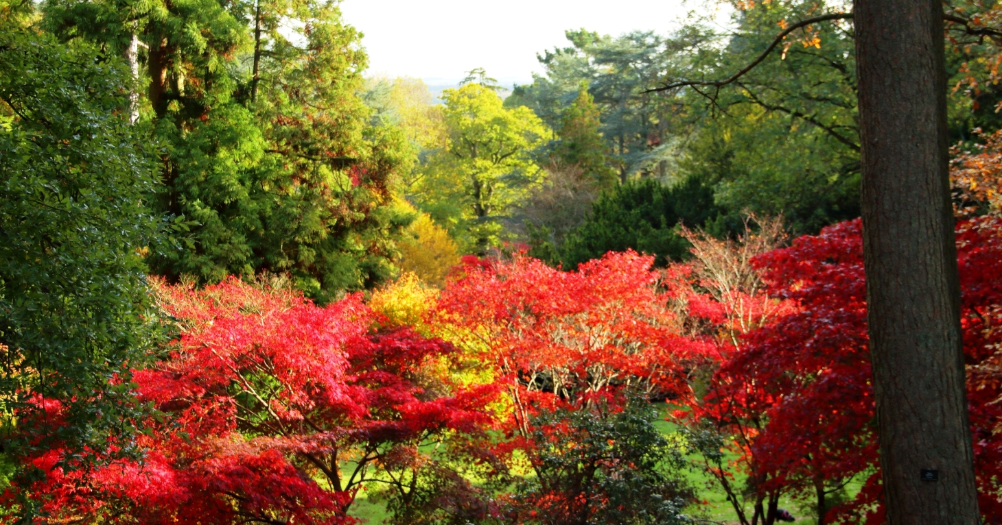 9 best places to see stunning autumn colour in Gloucestershire