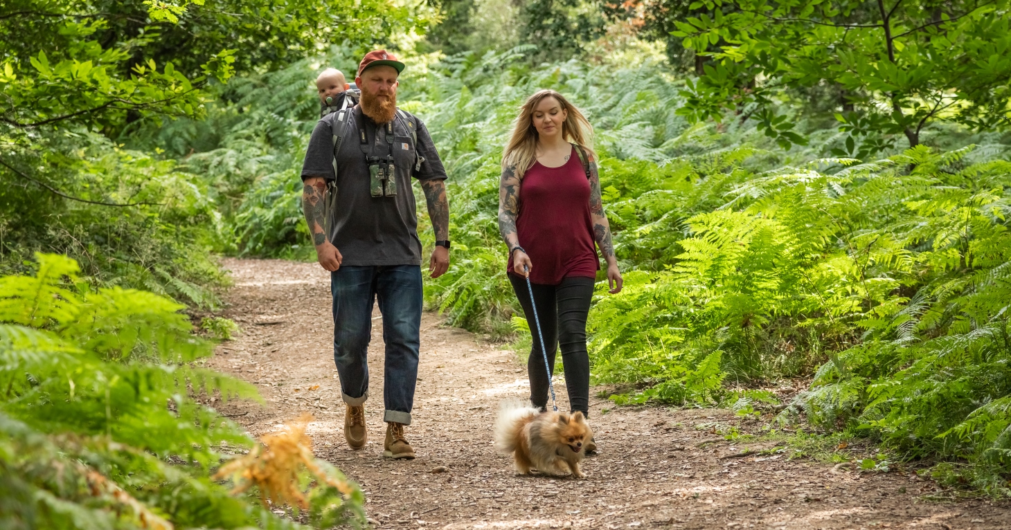 13 best places to walk your dog in Gloucestershire