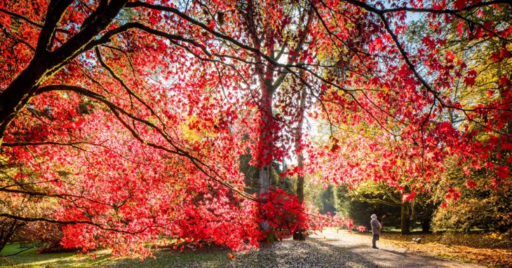 9 best places to see stunning autumn colour in Gloucestershire