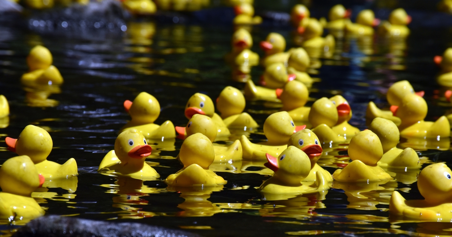 Bibury Duck Race 2025