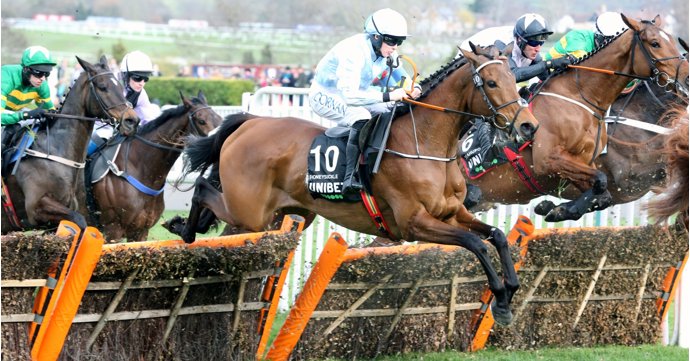 Constitution Hill dubbed 'the horse of a generation' after epic Cheltenham Festival win