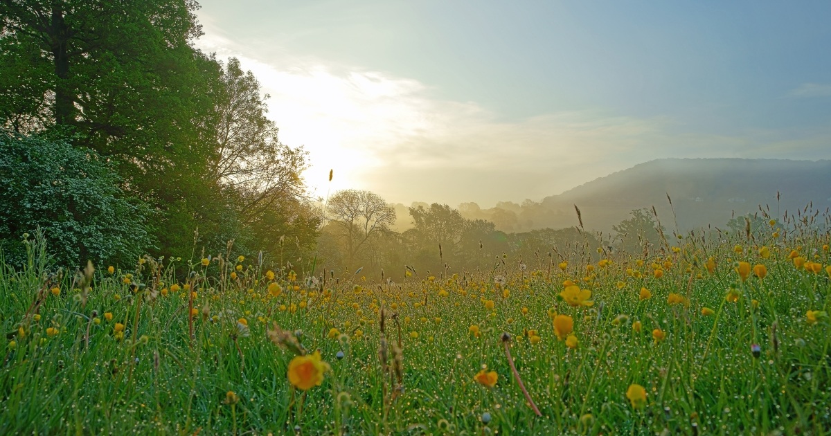 Cotswolds makes top 10 list of best places in UK to watch the sunrise