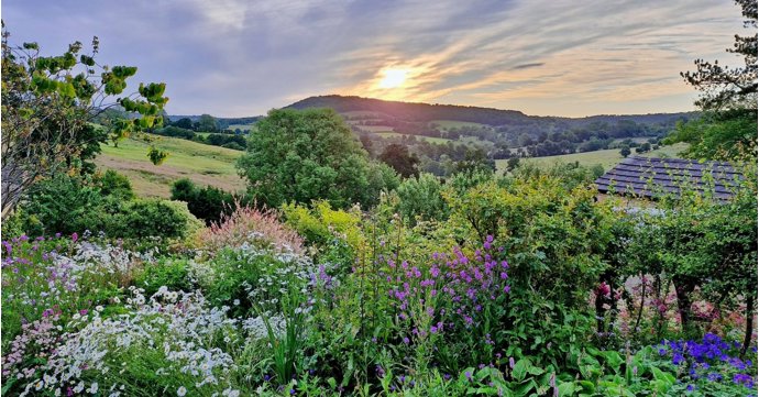 Cotswold Way walking trail is officially one of the best in the UK to spot wildflowers