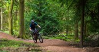 Bike trails in the Forest of Dean
