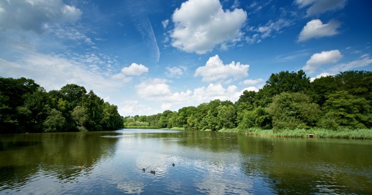 Cannop Ponds in the Forest of Dean could be returned to a natural valley, to protect the site from climate change and prevent flooding in the future.
