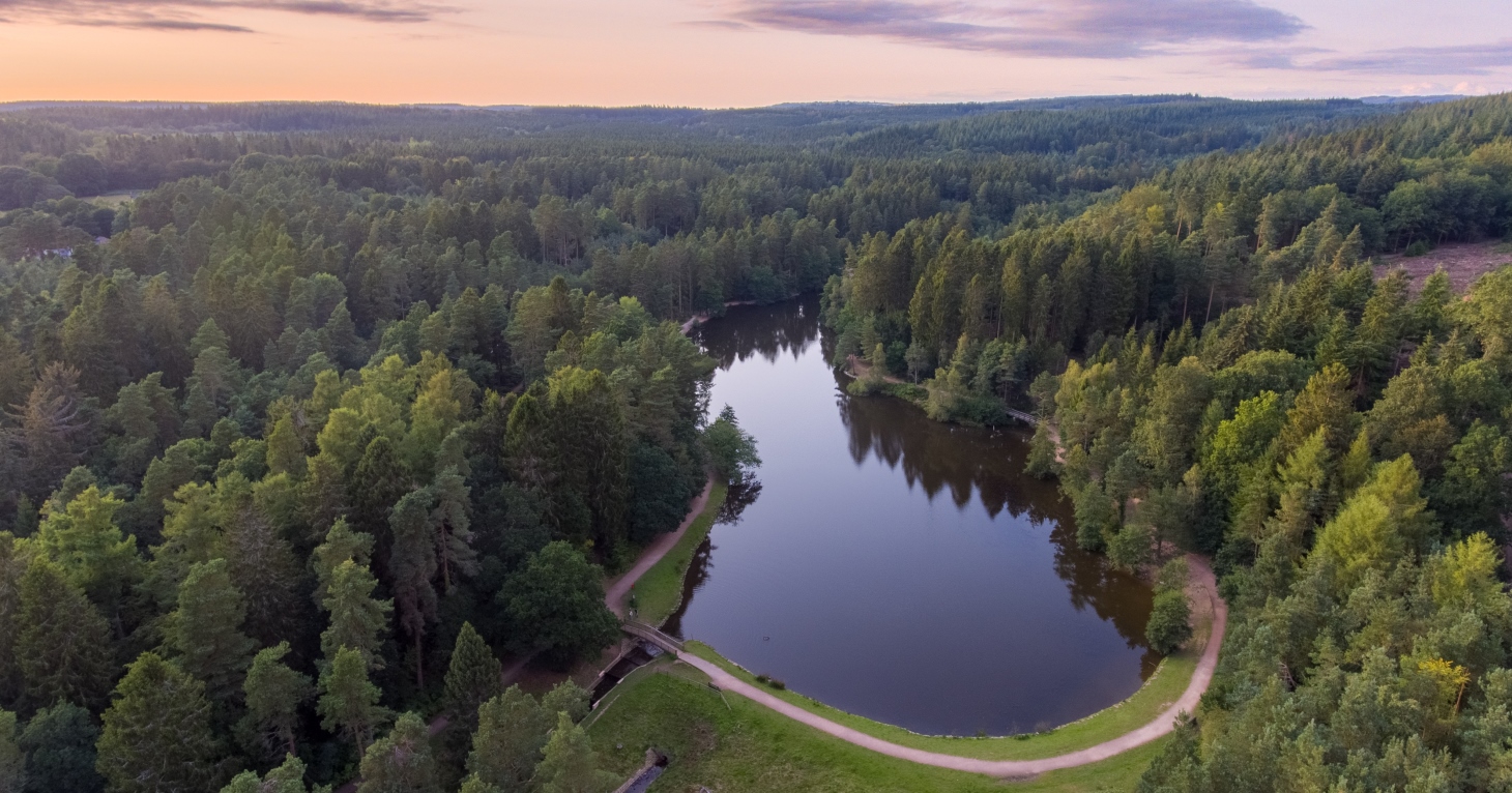 10 magical places to visit in the Forest of Dean