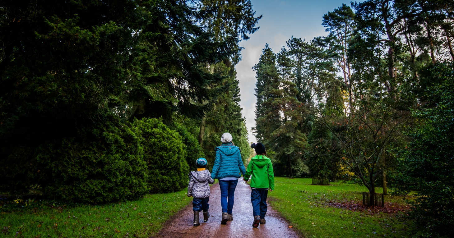Friends of Westonbirt Arboretum unveils Christmas gift guide for nature lovers