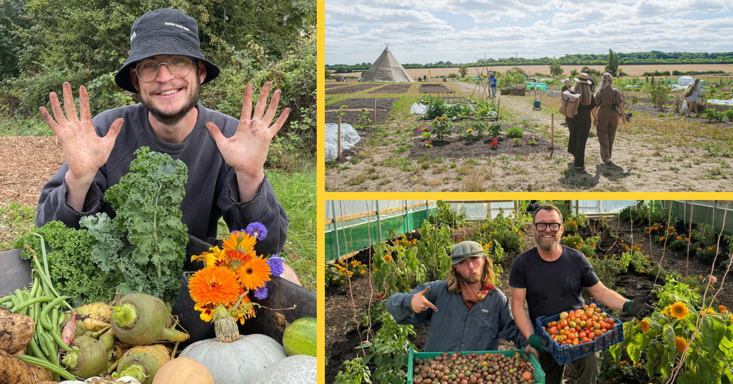 Get one of Gloucestershire's new 'no dig' allotments with no joining fee