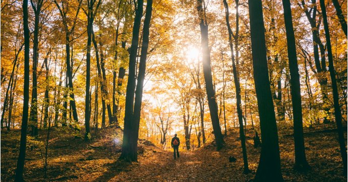 Gloucestershire destinations named in top 30 for prettiest autumn walks in the UK