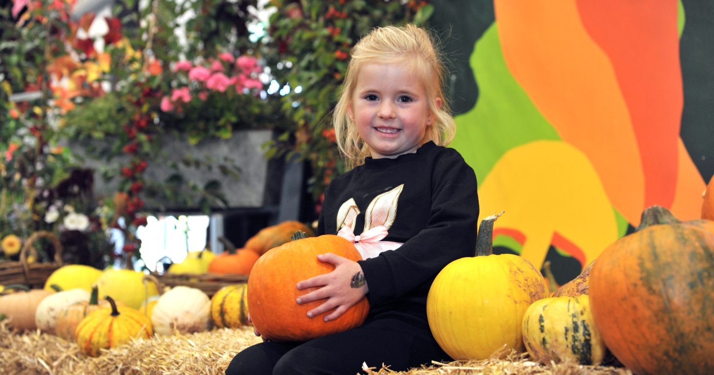 See some of the world's biggest vegetables at the Malvern Autumn Show