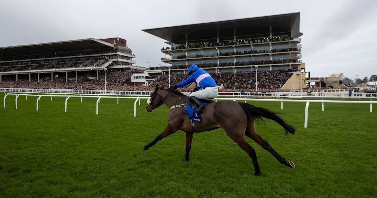New Year's Day Racing 2026 at Cheltenham Racecourse