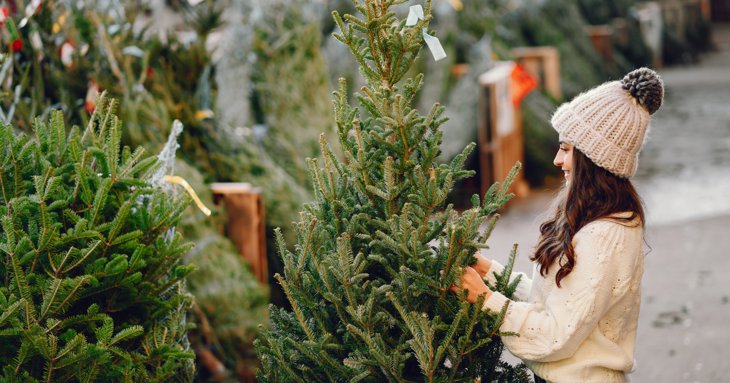 17 places to buy your Christmas tree in Gloucestershire