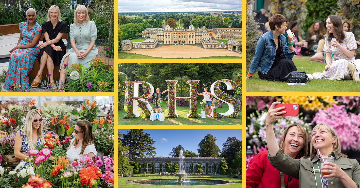 Brand-new RHS Flower Show comes to Gloucestershire this summer
