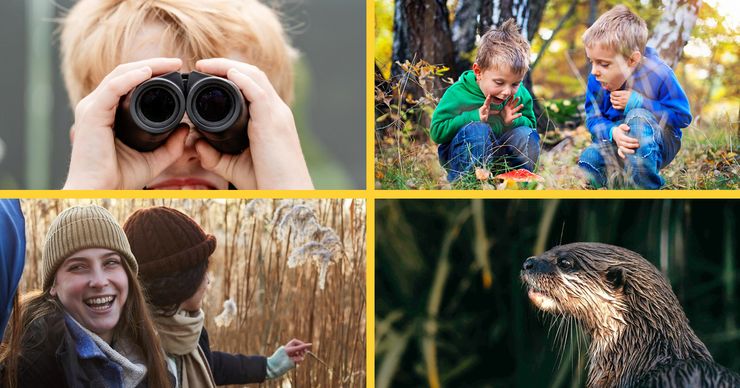 &#x27;We are passionate about removing barriers to nature&#x27; &#x2013; WWT Slimbridge&#x27;s education manager on new programmes, winter offers and mindfulness outdoors